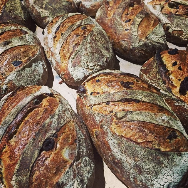 olive & herb vienna flour water salt bakery