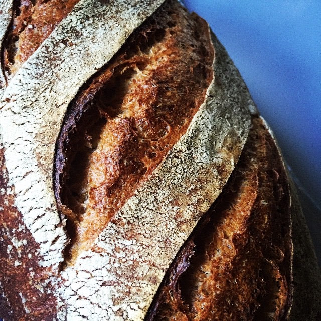 rye vienna