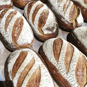 classic sourdough (aka berry sourdough)